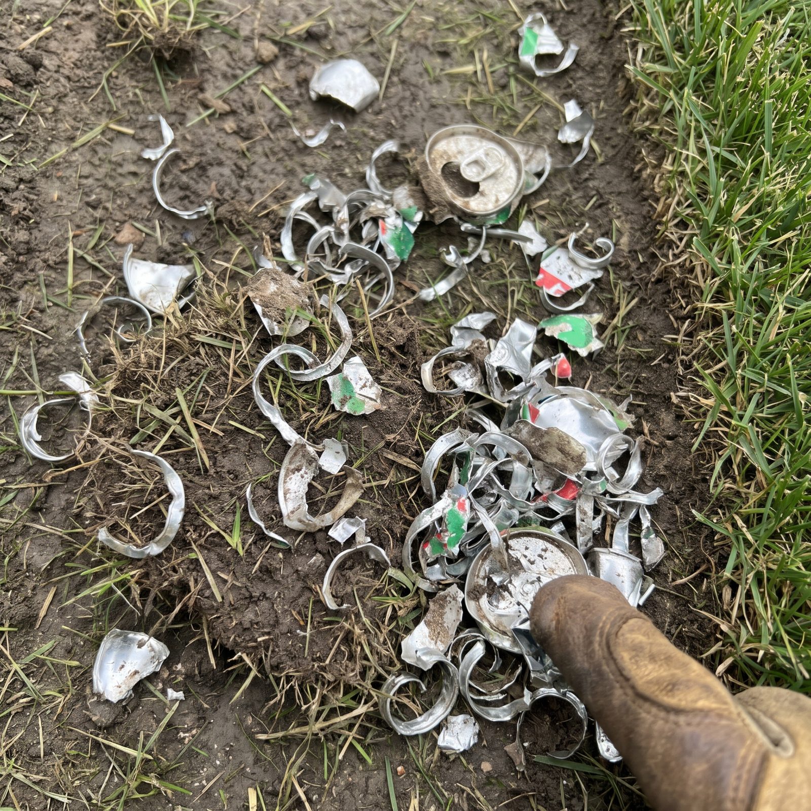 Aluminum Can Slaw, Shredded Can Fragments Chewed Up by Lawnmowers