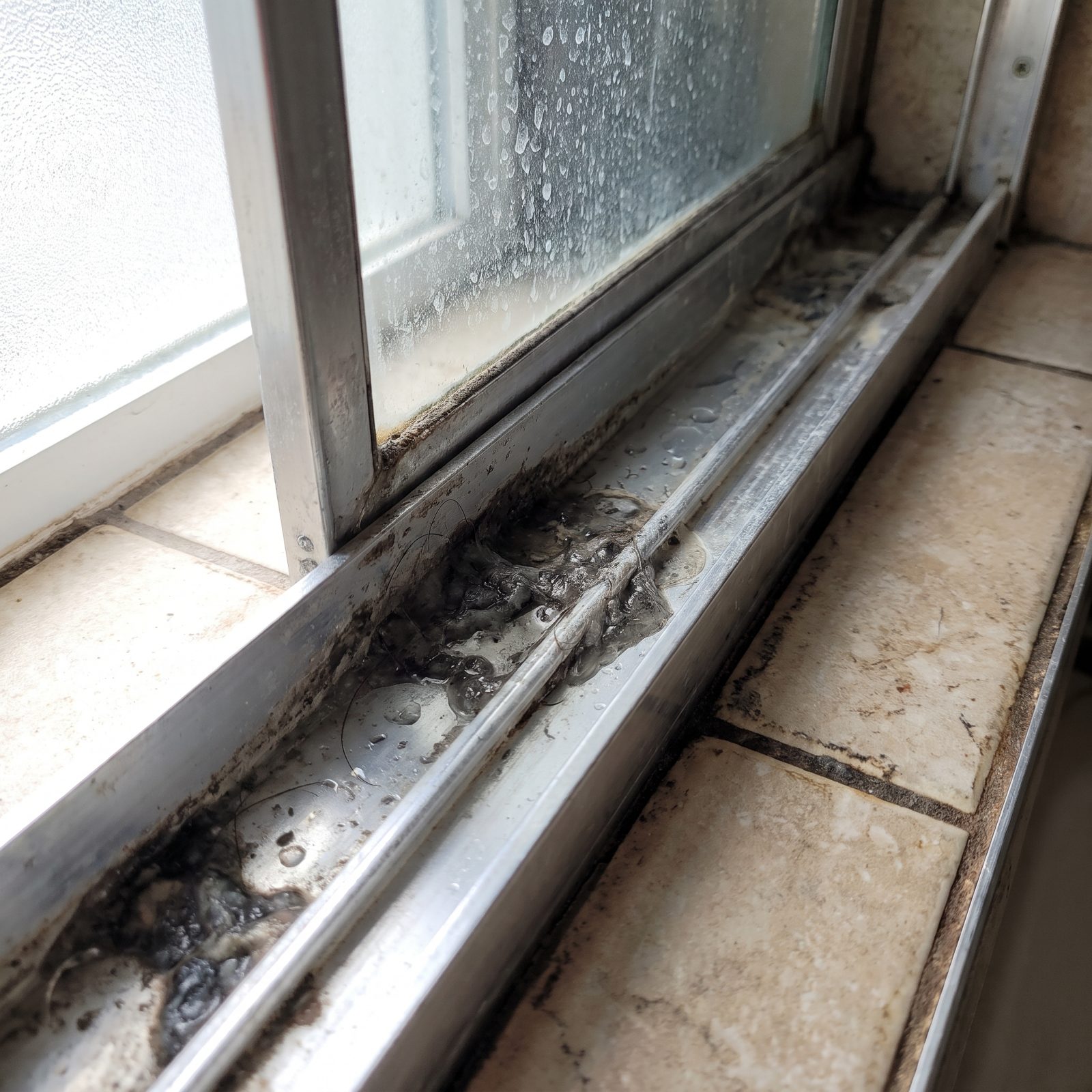 Blackened Shower-Door Tracks Hold More Than Surface Dirt
