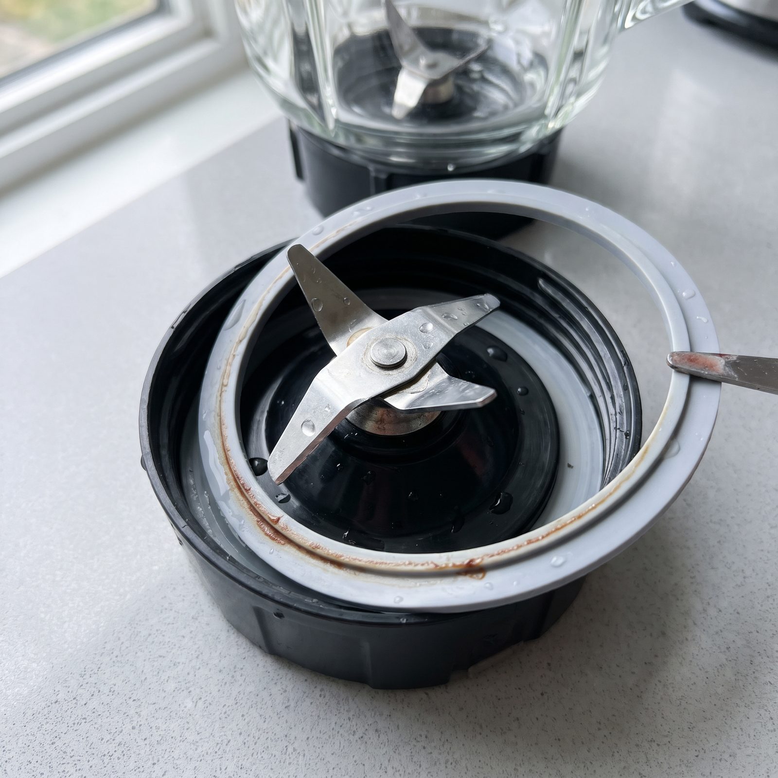 The Blender Blade Gasket, Food Residue Settles Beneath the Rubber Seal