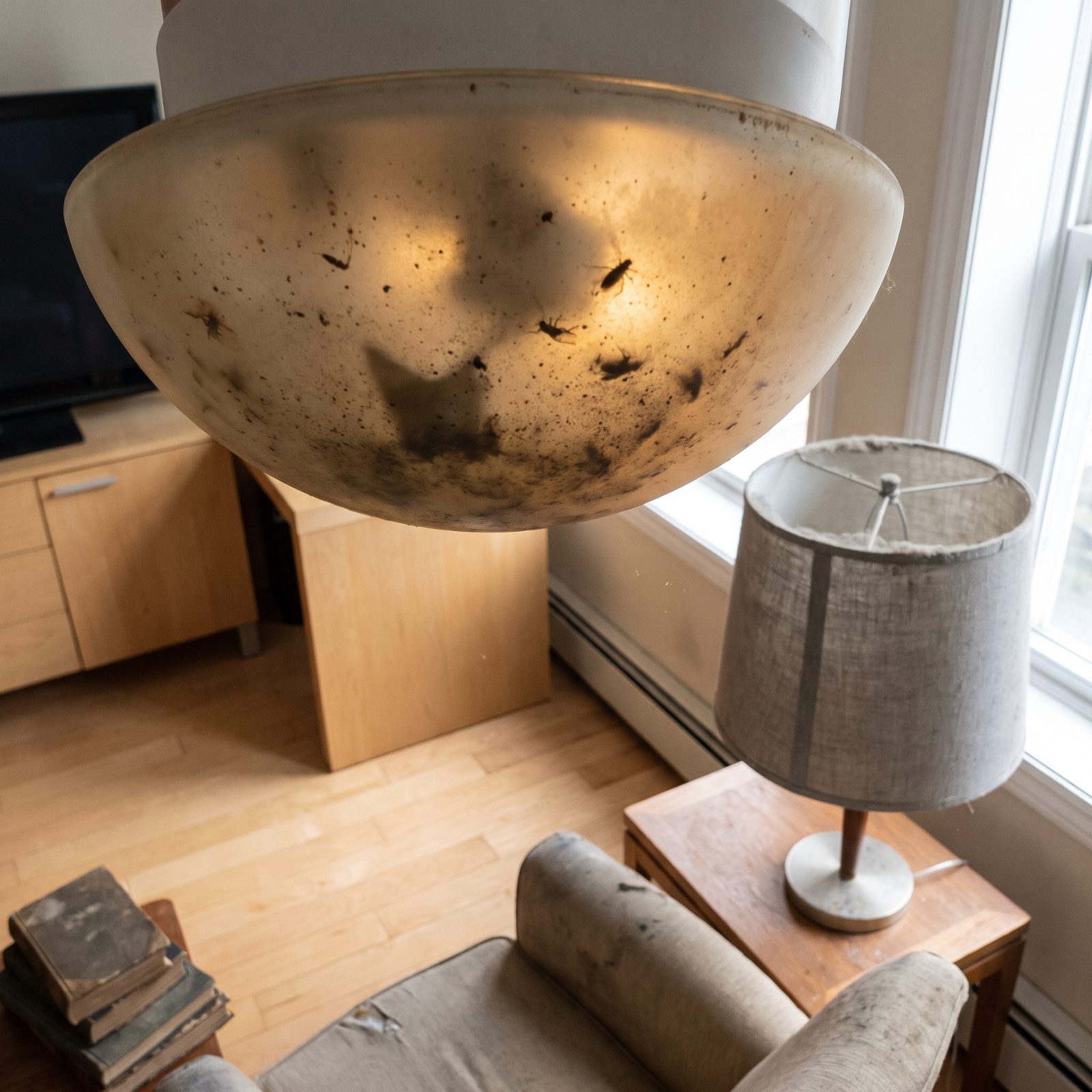 The Clouded Light Fixture Full of Shadows