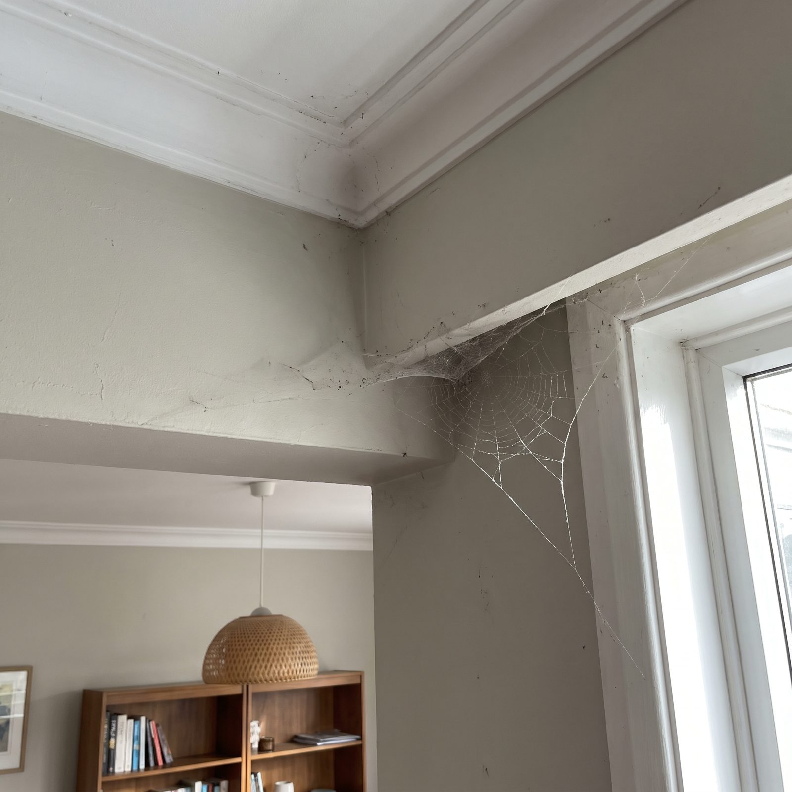 Cobwebs Lurking in High Corners and Crown Molding