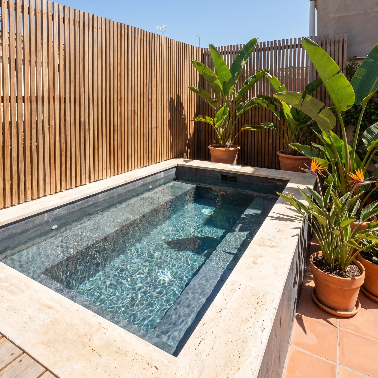 Compact Plunge Pools for Small Yards and Hot Afternoons