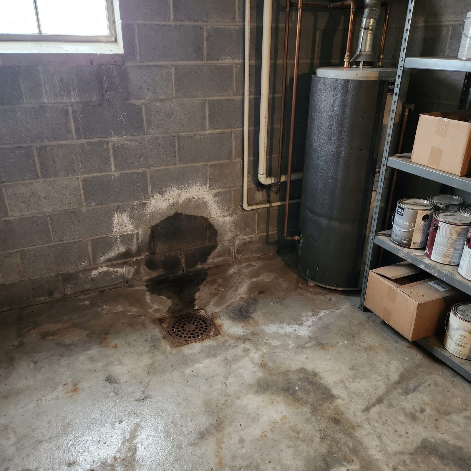 A Damp Smell Near the Basement That No Surface Scrub Will Fix