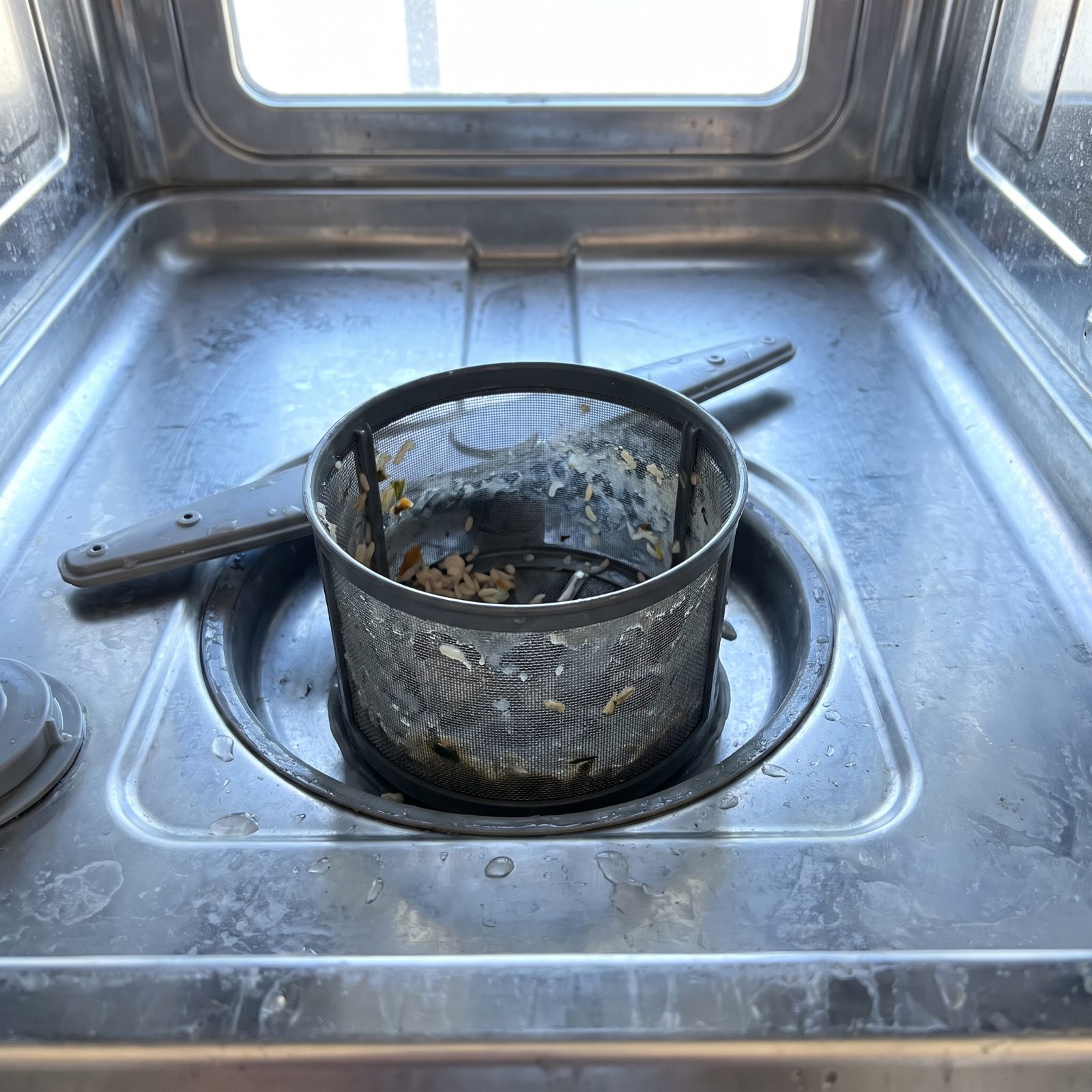 The Dishwasher Filter Buried Under the Bottom Rack