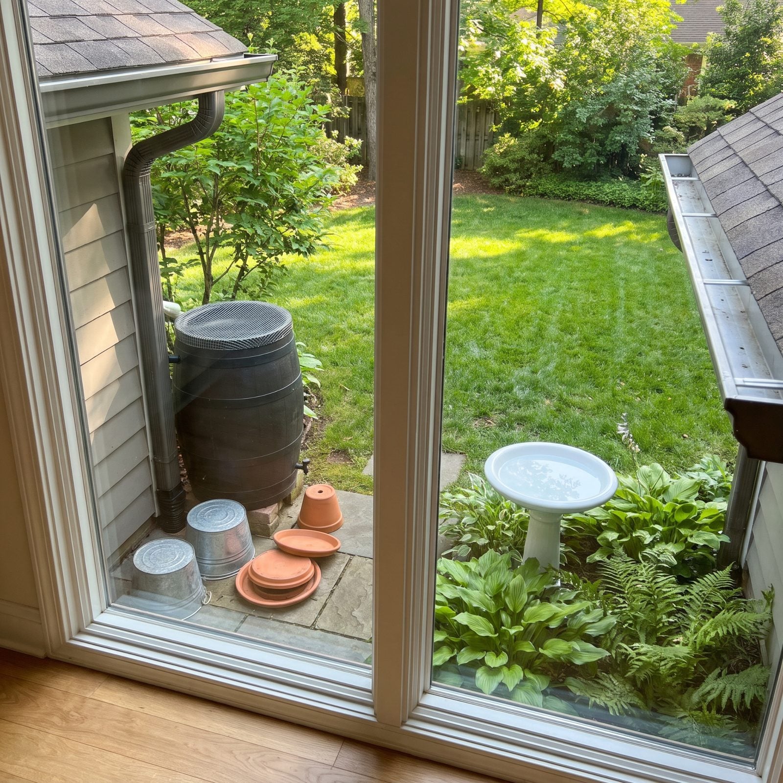 Dump the Standing Water Before Mosquitoes Turn Your Yard Against You