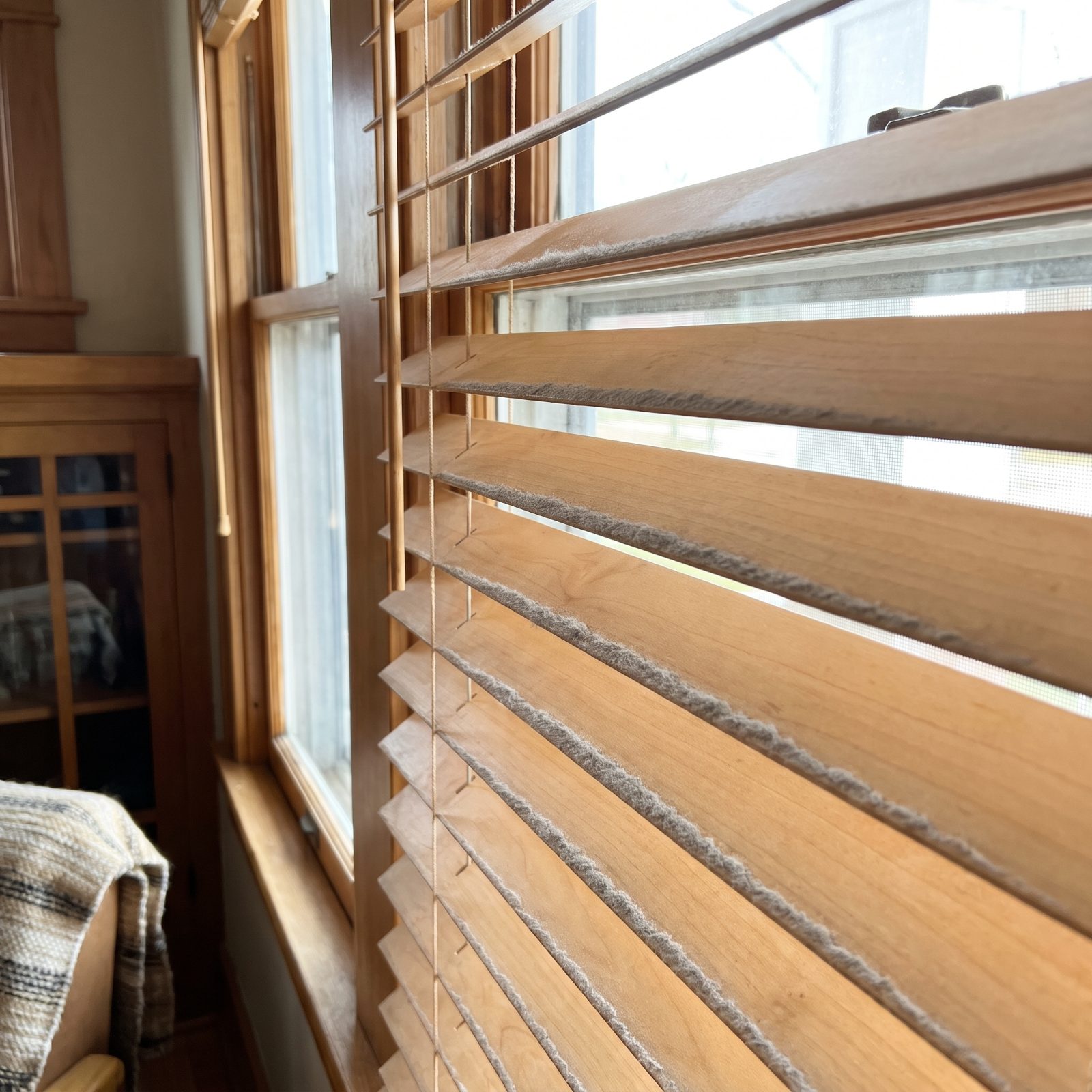 Dust Along One Edge of Every Blind Slat Reveals Incomplete Wiping