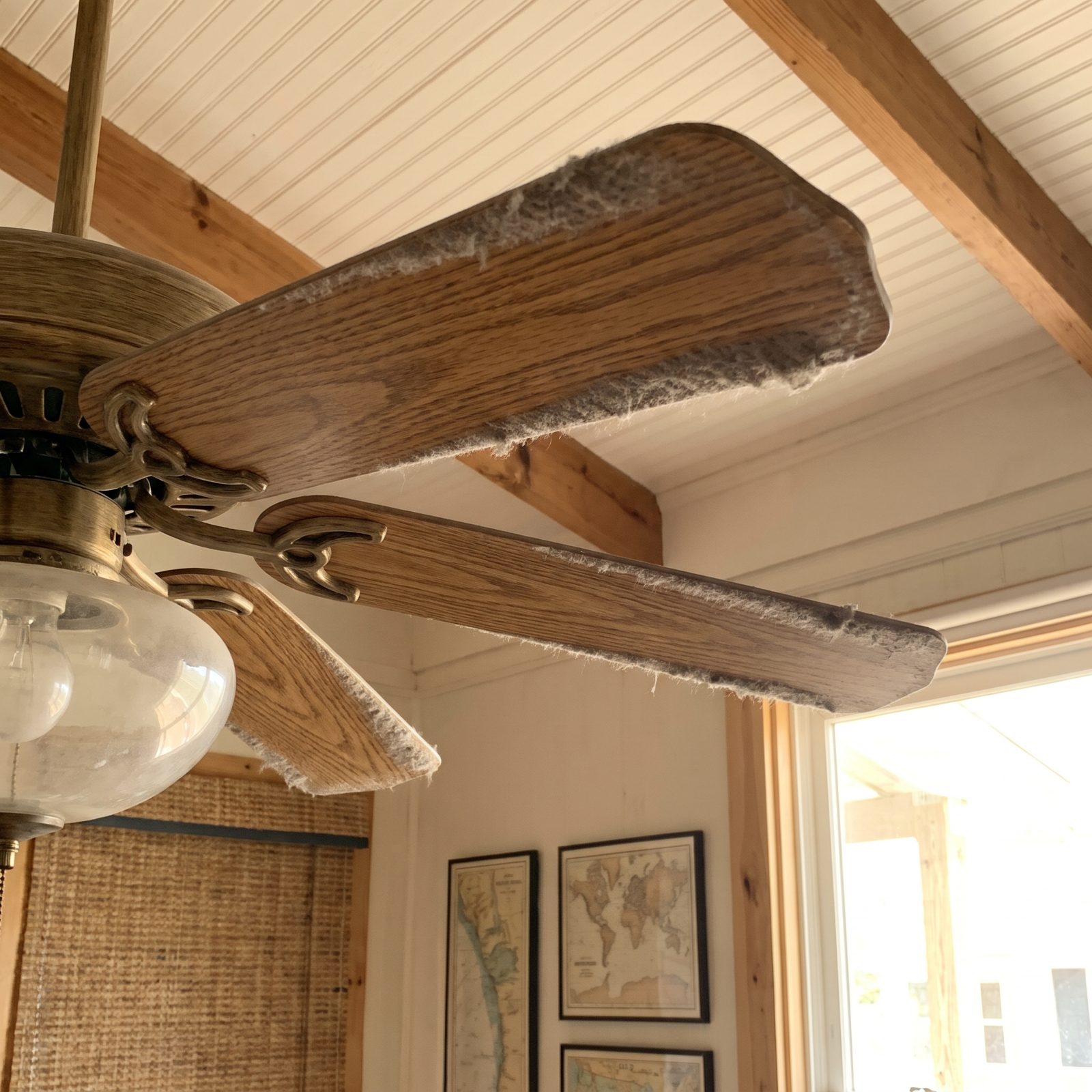 Dust on the Leading Edges of Ceiling-Fan Blades Shows Airflow Patterns