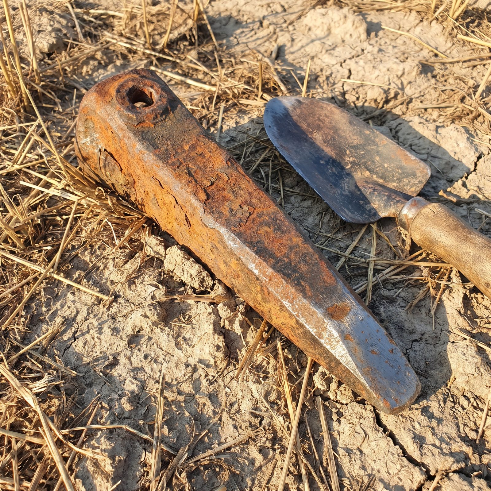 Farm-Implement Teeth: The Heavy Iron Points Shed by Harrows and Cultivators