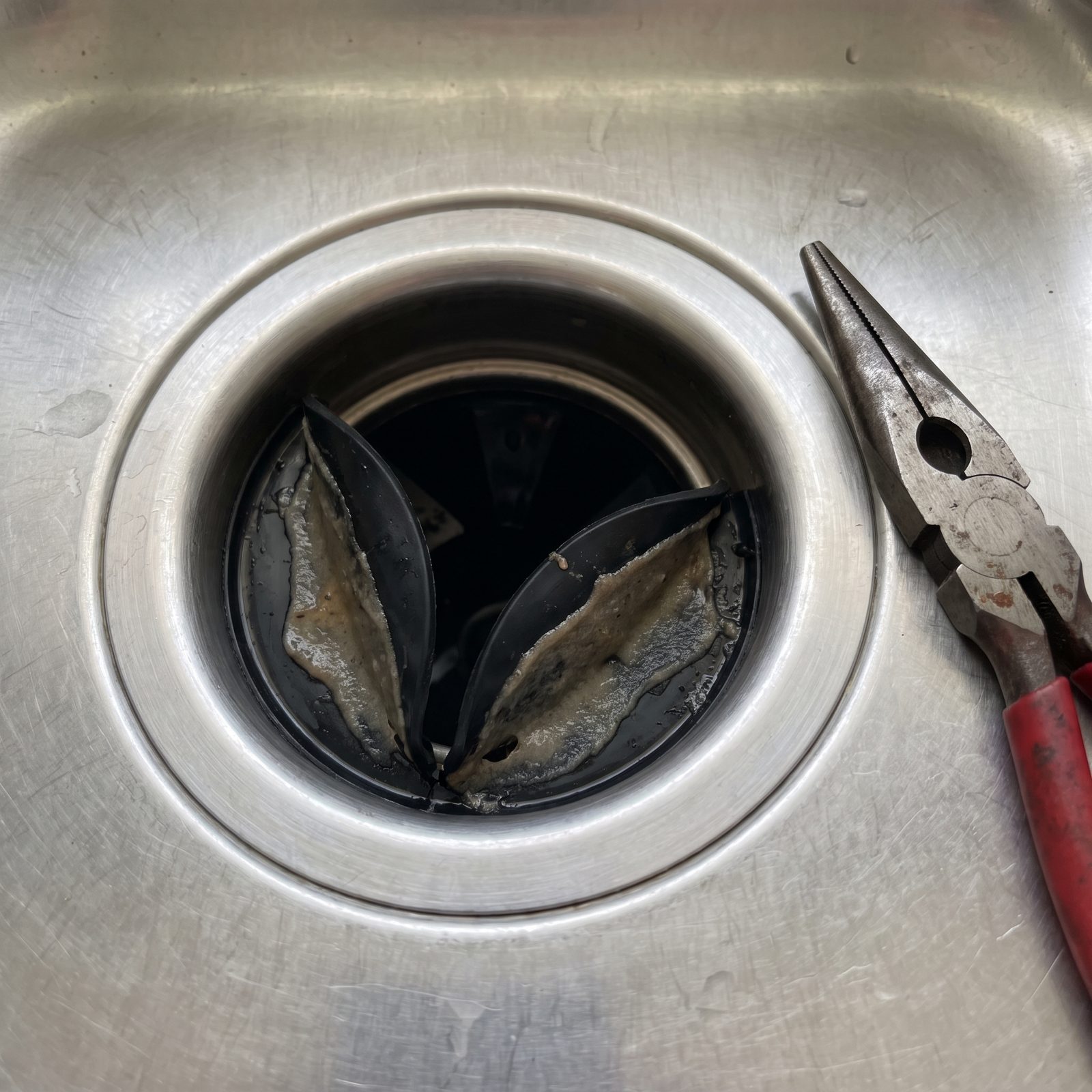 Food Rot Caked Beneath the Garbage Disposal Splash Guard