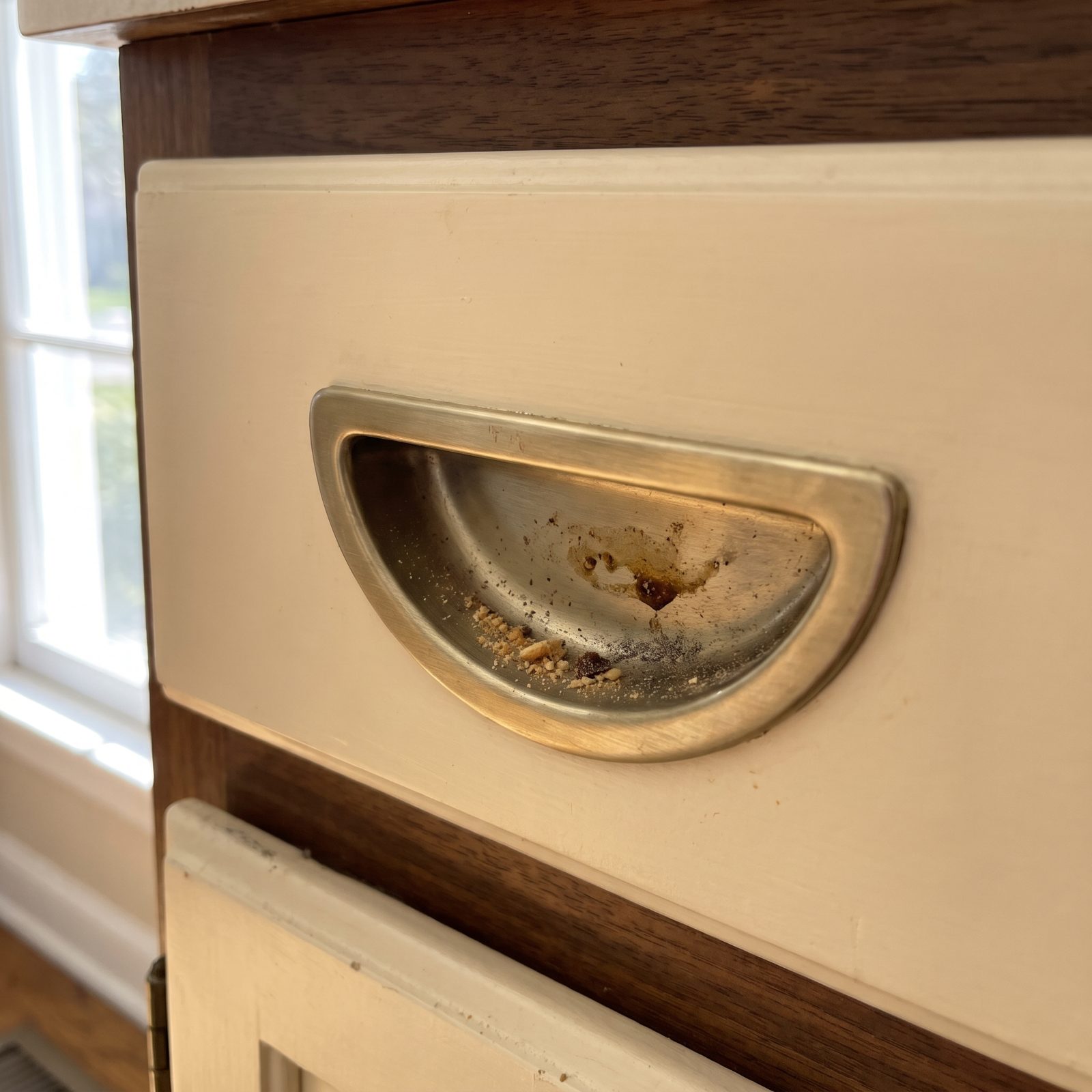 Food Specks Inside Drawer Pulls Reveal High-Touch Buildup