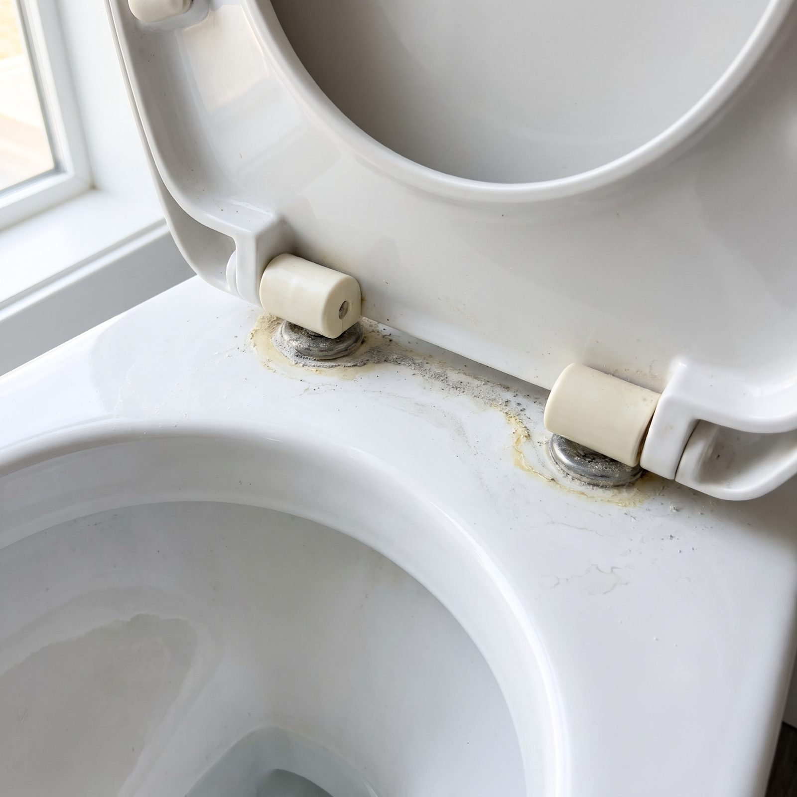 The Hinges of the Toilet Seat, Where Residue Builds Around the Mounting Bolts