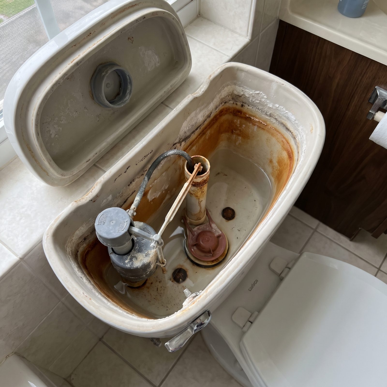 The Inside of the Toilet Tank, Mineral Deposits Coat the Components