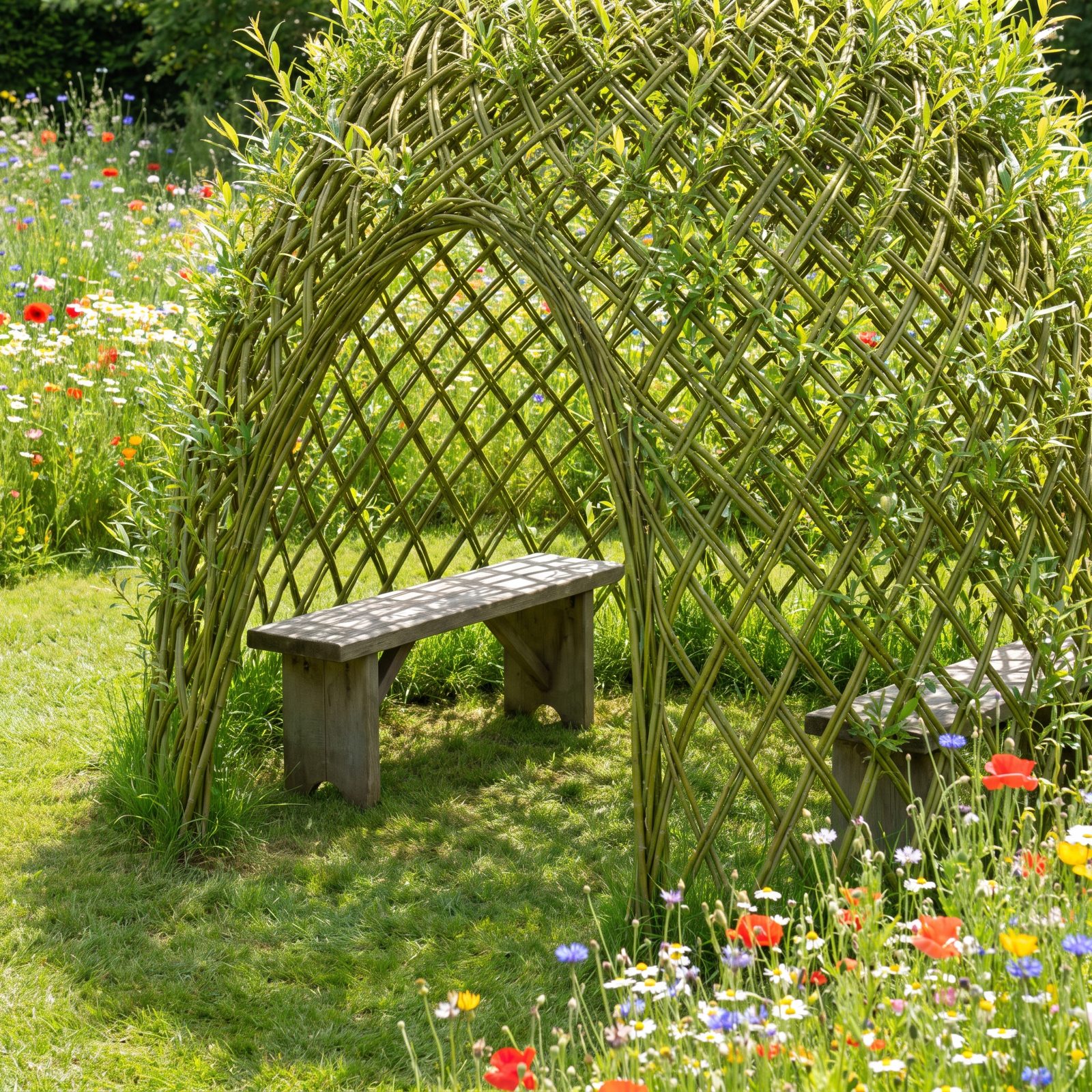 A Living Willow Alcove