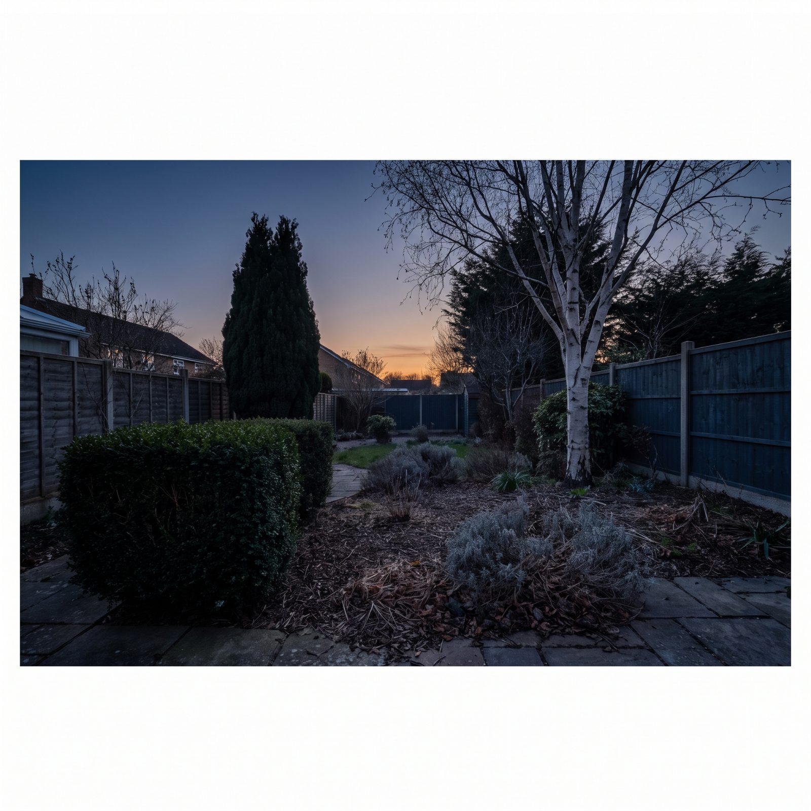 Photograph the Yard at Dusk to Identify Empty-Looking Areas