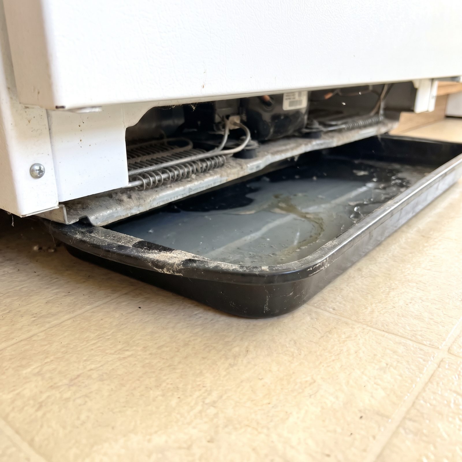 The Refrigerator Drip Pan, Where Hidden Water Turns to Slime