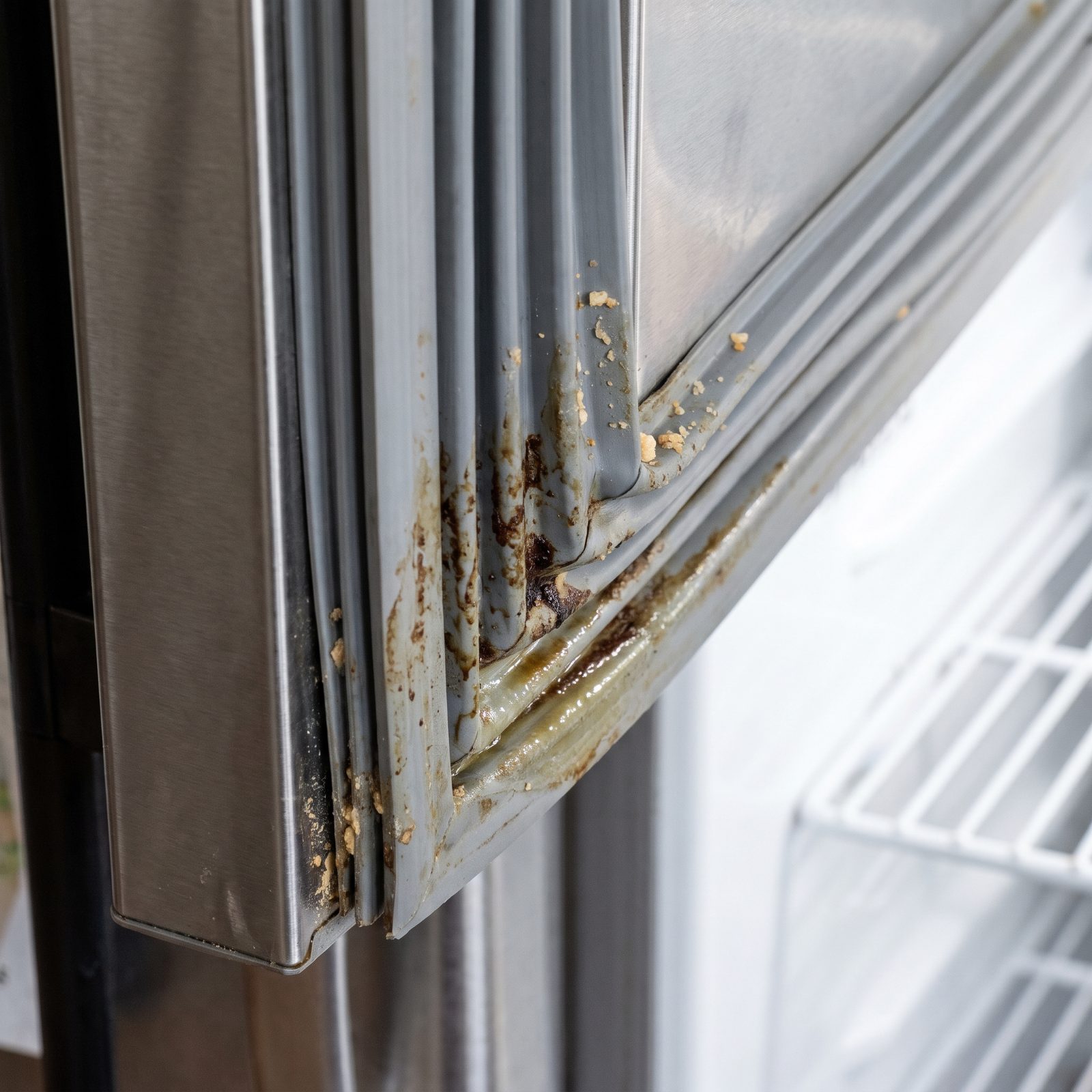 The Refrigerator Gasket Folds, Crumbs and Spills Hide in the Creases