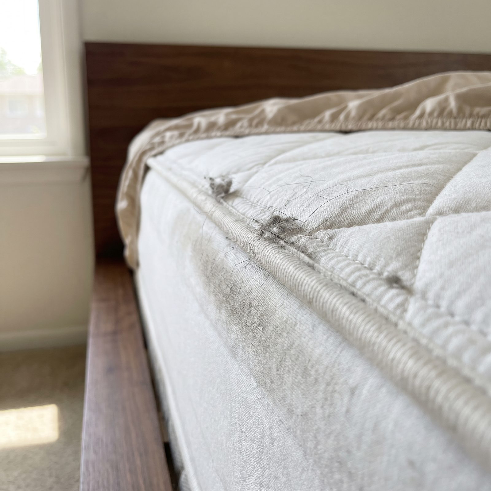 The Seams Around a Mattress, Where Hair and Dust Settle Into the Piping