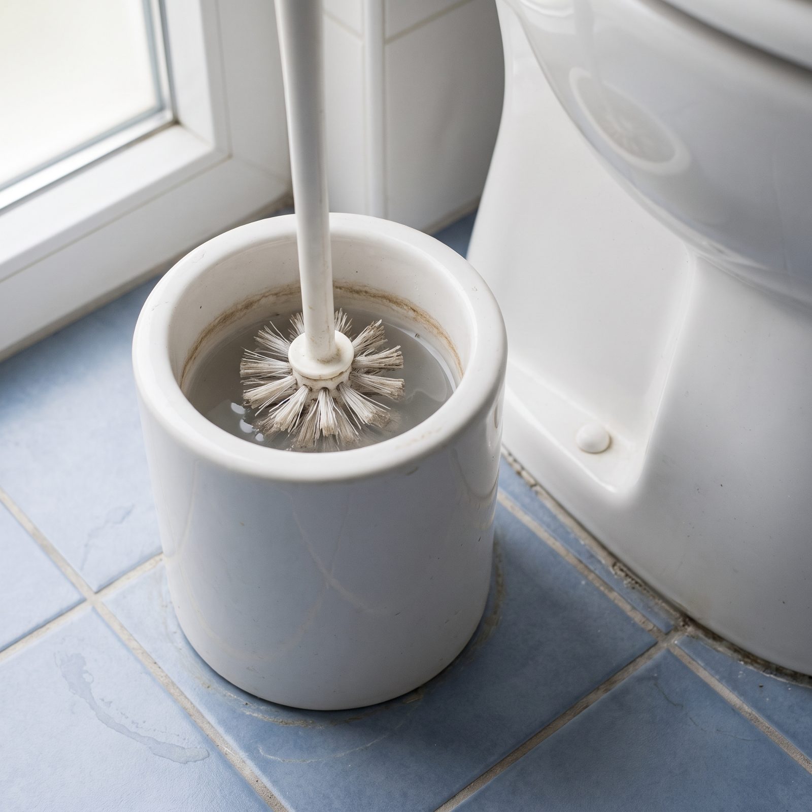 Stagnant Water Sitting in the Toilet-Brush Holder