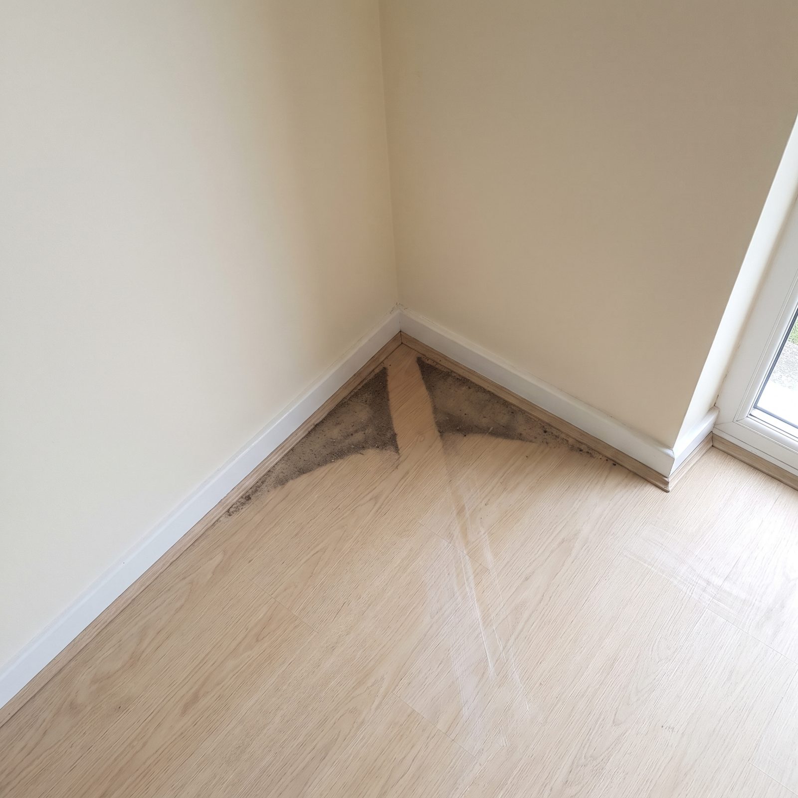 Triangular Dirt Patches in Corners Expose Mop Limitations
