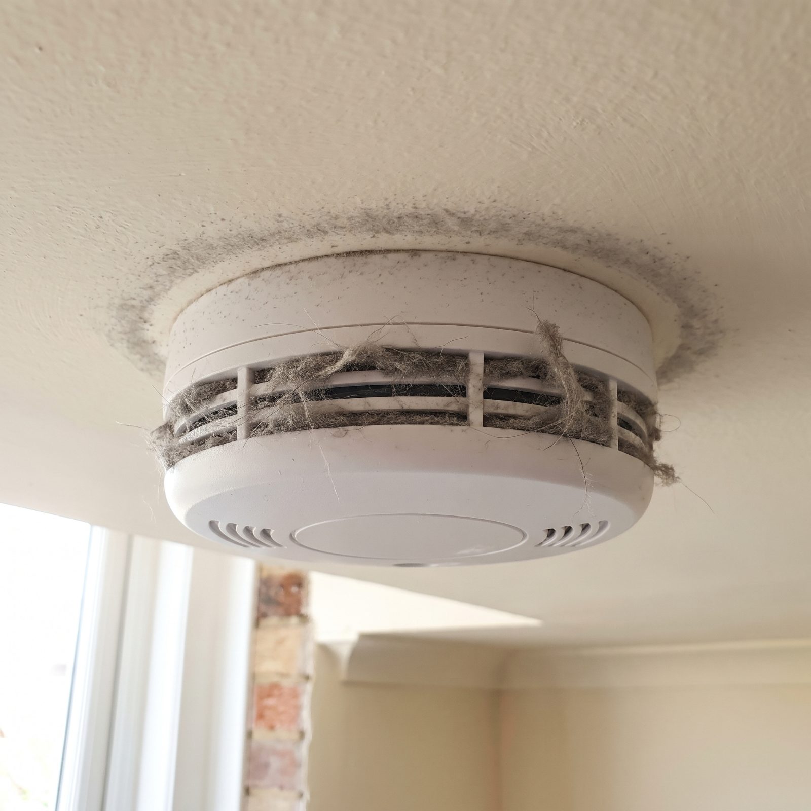 The Vents on Smoke and Carbon Monoxide Alarms, Clogged With a Felt of Fine Dust