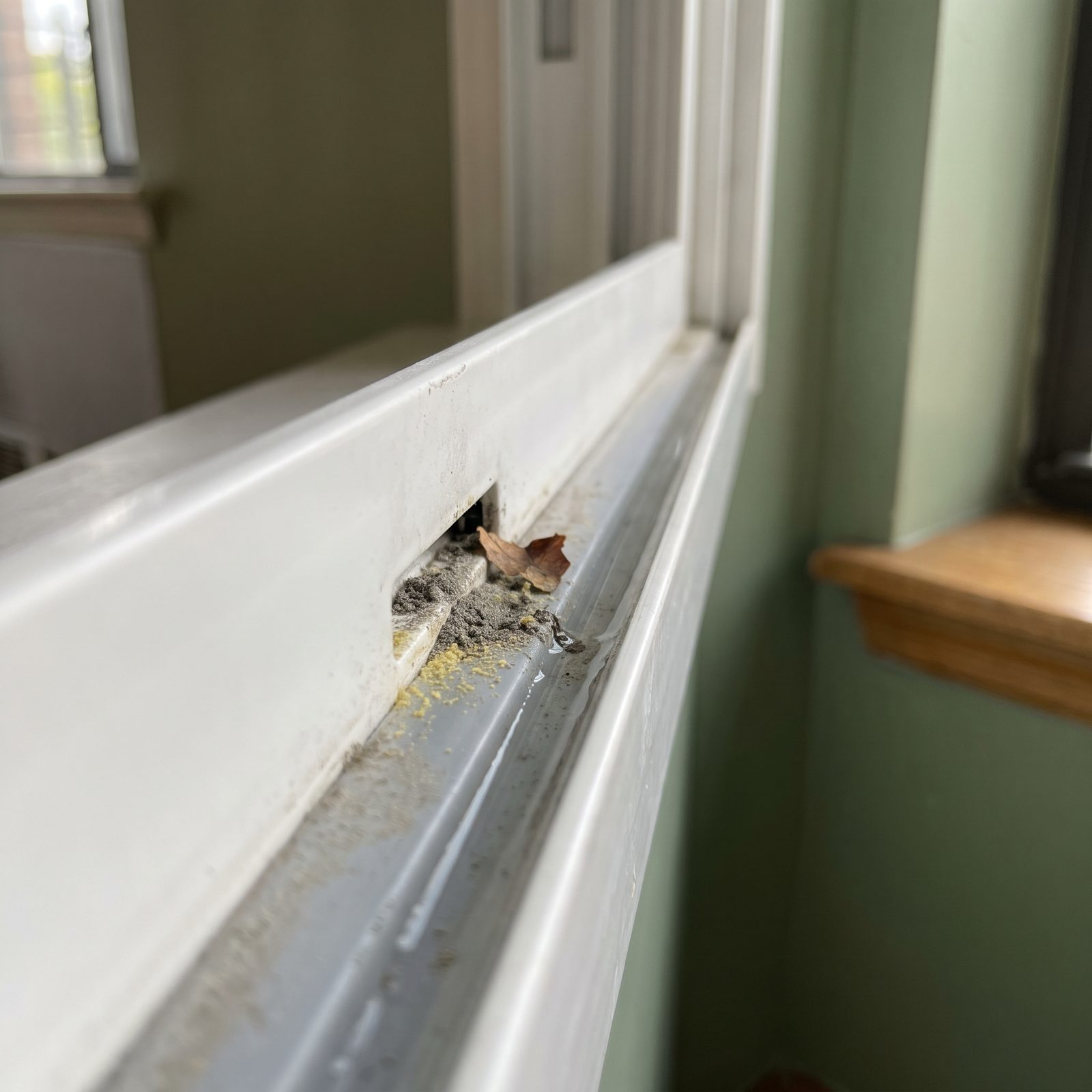 The Window Weep Holes That Can Clog and Pool Water